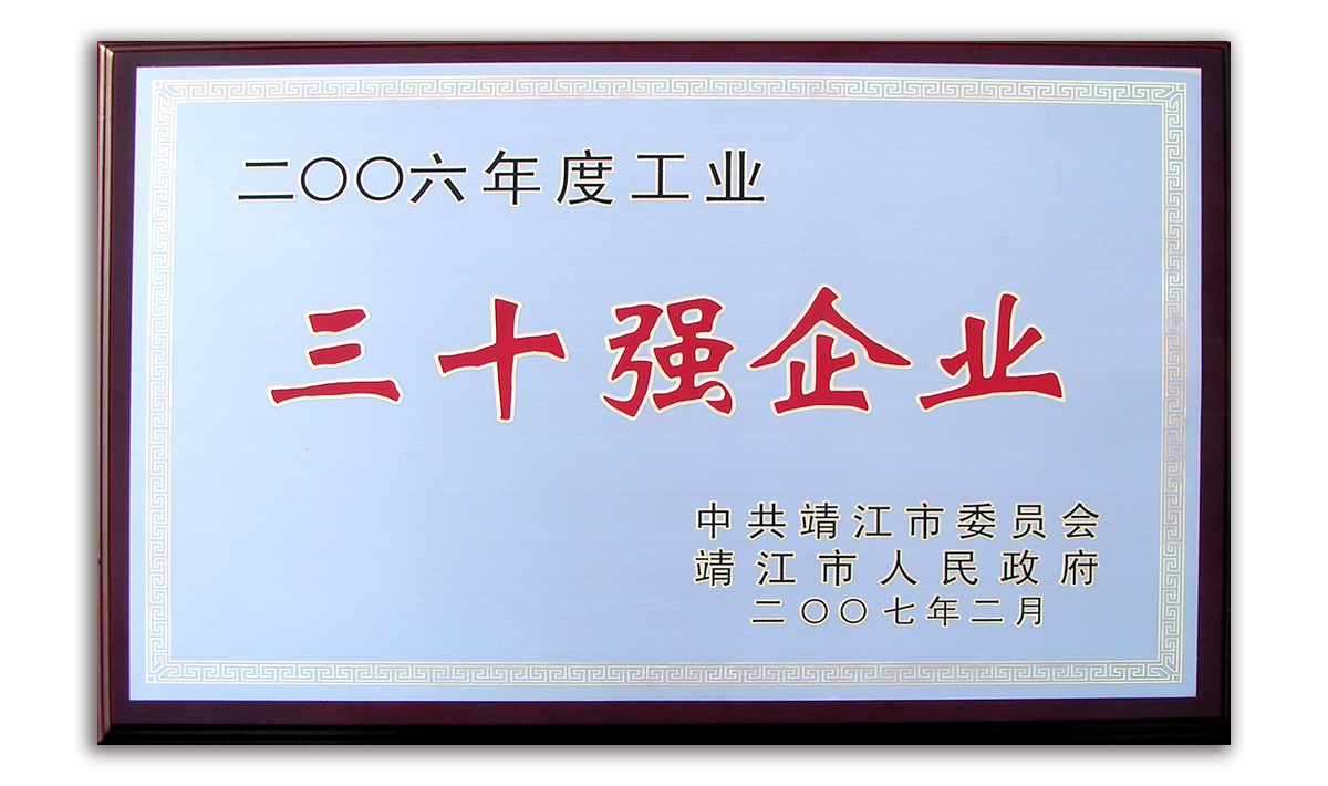 靖江市工业三十强企业铜牌