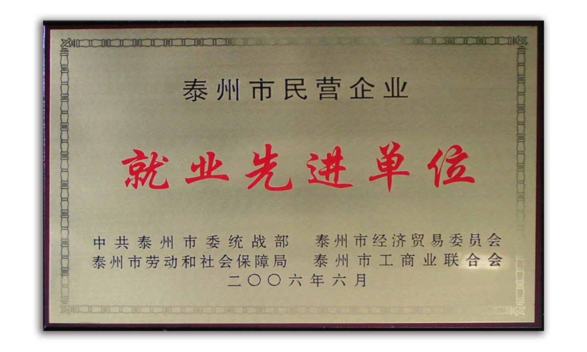 泰州市就业先进单位铜牌